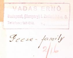 1950 Vadas Ernő (1899-1962) fotóművész: Kacsacsalád. Vintage fotó, pecséttel jelzett, kiállítási eml...