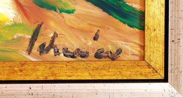 Schéner Mihály (1923-2009): Halászbástya. olaj, farost, jelzett, újszerű keretben, 50×70