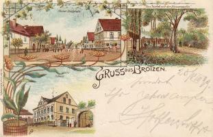 1899 Brotzen Litho