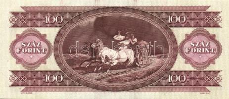 1993. 100Ft (2x) egymás utáni sorszámmal és nyomdai festékfoltokkal T:I