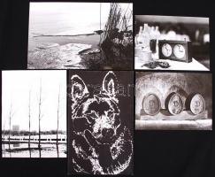 cca 1970 10db, klf témájú amatőr művészfotó, hátoldalán szerzővel és címmel / 
Vintage photos