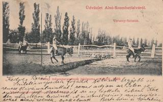 Alsószombatfalva, Rónay ménesparancsnok jubileumi szamár versenyfuttatása, 1899 / donkey race (EB)