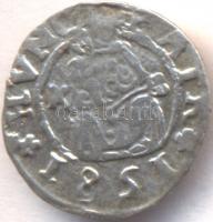 1581. Denar Ag "Rudolf" T:2-