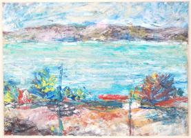 Olvashatatlan jelzéssel: Balatoni táj. Olaj, karton-papír, üvegezett keretben, 25×36 cm
