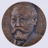 Kampfl József (1939-) 1981. "XII. Fül- Orr- Gégészeti Világkongresszus, Budapest / Dr. Poltzer Ádám" angol nyelvű felirattal ellátott Br emlékplakett (101mm) T:2 József Kampfl (1939-) 1981. "XII. World Congress of Oto- Rhino- Laryngology, Hungary, Budapest / Dr. Adam Poltzer" Br commemorative medallion (101mm) C:XF