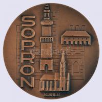 Renner Kálmán (1927-1994) 1977. "Sopron 1277-1977" bronz emlékérem (60mm) T:2