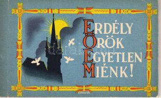 Erdély Örök Egyetlen Miénk 13 lapos irredenta képeslapfüzet Gebhardt / Siebenbürgen Heftchen mit 13 Irredenta Künstler AK s: Gebhardt