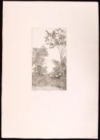 Tulipán László (1943-2007): Pár. Rézkarc, papír, jelzett, 18×10 cm