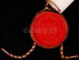 1896 Mérnöki pergamen oklevél szép viaszpecséttel a fa fedél nélkül / 
1896 Ingeniur pergamin warran...