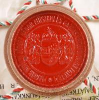 1936 Gépészmérnöki pergamen oklevél szép függő viaszpecséttel / 
1936 Ingeniur pergamin warrant 60x4...