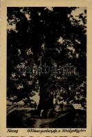 Kőszeg - 5 db jó minőségű, használatlan városképes lap