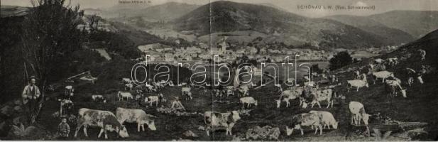 18 db vegyes, német nyelvű képeslap (Svájc, Németország, Ausztria) / 18 mixed German postcards - Switzerland, Austria, Germany (with a panoramacard)