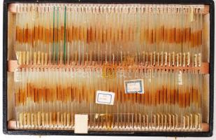 Cca 1920 "Mikroszkópiai készítmányek", készítő: Lusztig Jenő. A budapesti Kir. Magyar Pázm...