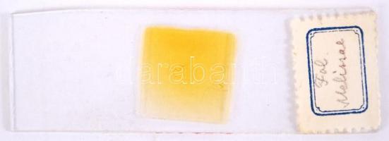 Cca 1920 "Mikroszkópiai készítmányek", készítő: Lusztig Jenő. A budapesti Kir. Magyar Pázm...