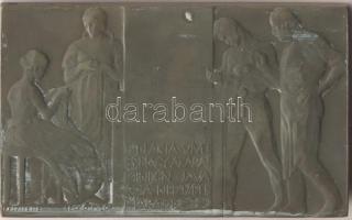 1905. "Ráth György - Magyar Iparművészeti Társulat" Br emlékérem. Szign.: Beck Ö. Fülöp (8...