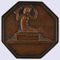 1936. "VI. FILPROK" Br nyolcszögletes Br plakett csavarozható hátlappal T:2