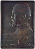 Pásztor János (1881-1945) 1912. "DR. GENERSICH ANTALNAK HÁLÁS TANÍTVÁNYAI 1912" Br plakett (60x44mm) T:2-