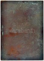 Pásztor János (1881-1945) 1912. "DR. GENERSICH ANTALNAK HÁLÁS TANÍTVÁNYAI 1912" Br plakett...