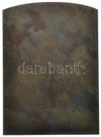 Ausztria 1905. "Dr. Otto Nordenskjöld" svéd geológus és sarkkutató, Br plkaett (80x57.5mm)...