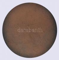 Beck Ö. Fülöp (1873-1945) 1936. "Neuhold Kornél" filatelista, gyárigazgató Br díjérem (60m...