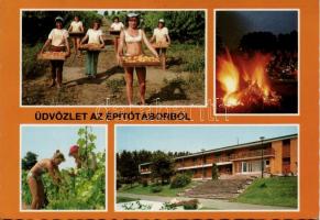 44 db modern, úttörő témájú képeslap / 44 modern, pioneer postcards