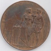 Ausztria 1906. "Lipót - Bécsi Higiéniai Kiállítás" Br emlékérem. Szign.: W. Pittner / A. H...