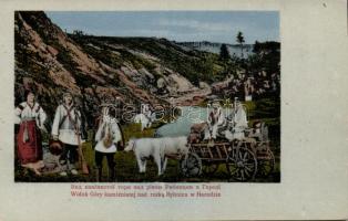 7 db régi, használatlan, ukrán képeslap / 7 unused, Ukrainian postcards