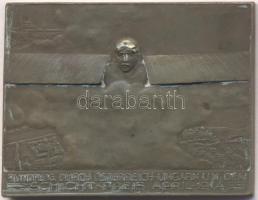 Osztrák-Magyar Monarchia 1914. "Osztrák-Magyar sétarepülés" Br plakett. Szign.: R. Neuberger (50x38mm/36.8g) T:2,2- R!