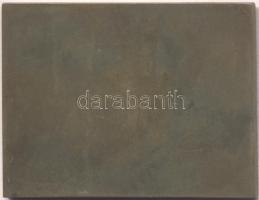 Osztrák-Magyar Monarchia 1914. "Osztrák-Magyar sétarepülés" Br plakett. Szign.: R. Neuberg...