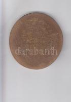 DN "Zrínyi Miklós 1620-1664" Br plakett (67mm) T:2