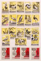 Szépen rendezett magyar gyufacímke gyűjtemény közepes berakóban + borítékban