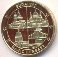 2011. "Budapest Sziget Fesztivál" aranyozott emlékérem (32mm) T:PP