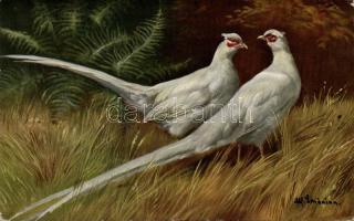 Birds, hunting s: Alfred Schönian (EK)