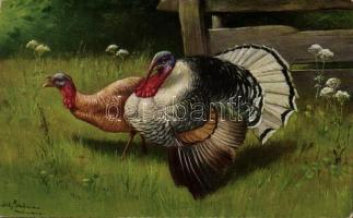 Birds, hunting s: Alfred Schönian