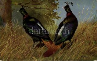 Birds, hunting s: Alfred Schönian