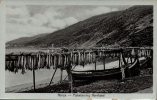 Nordland fish drying (fa)