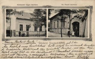 Vecsés Herbacsek és dr. Peschl lakóháza, floral