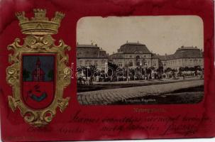 Nyíregyháza, megyeháza, címer, Emb. (Rb)