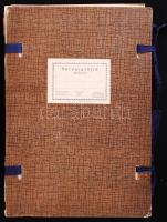 1961 Herbárium mappa, használatlan