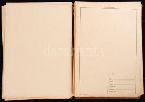 1961 Herbárium mappa, használatlan