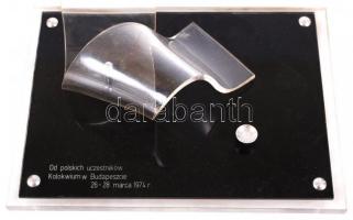 A deblini "Hős Pilóták" emlékmű plexi makettje / 
Model of the Deblin Statue of Heroic Avi...