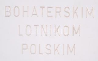 A deblini "Hős Pilóták" emlékmű plexi makettje / 
Model of the Deblin Statue of Heroic Avi...