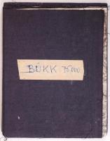 Cca 1920 Bükk vászon térkép, foltos, 38×48 cm