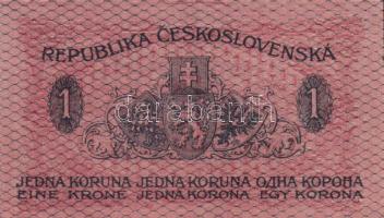 Csehszlovákia 1919. 1K T:I Czechoslovakia 1919. 1 Korun T:UNC