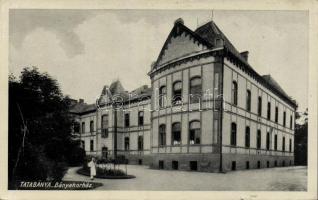 Tatabánya bányakórház (fa)