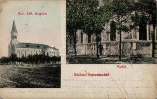 Lajosmizse, katolikus templom, paplak (fa)