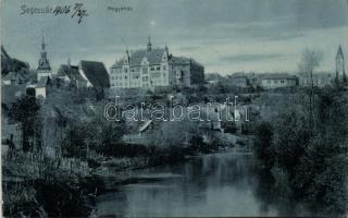 Segesvár county hall