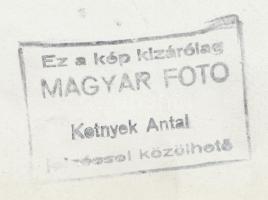 cca 1951-1952 Kotnyek Antal (1921-1990): A németek által felrobbantott Horthy híd [ma Petőfi híd] új...