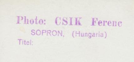 cca 1940 Csík Ferenc: Tábori mise. Vintage fotó, hátoldalán pecséttel jelzett, 18x24cm