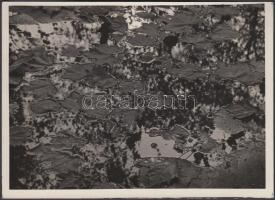 1935 Kinszki Imre (1901-1945): Zivatar után. Vintage fotó, hátoldalán pecséttel és aláírással jelzett, 12x17cm